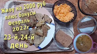 Живу на 2000 рублей!Февраль 2022г. 23-й, 24-й день! Вымя в кляре! Морковка с чесноком!