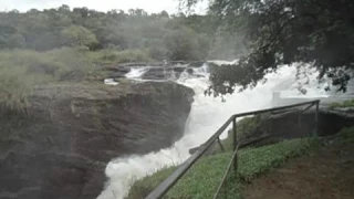 Murchison falls viewed from to