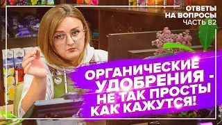 ЛУКОВАЯ МУХА. ВСЯ ПРАВДА об АКТАРЕ. СЛЕПЫЕ ПОБЕГИ у РОЗЫ. ОТВЕЧАЕМ НА ВОПРОСЫ