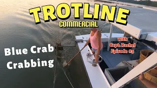 Trotline BLUE CRAB CRABBING! - Episode 3. Commercial Blue Crabbing with Water Woman CAPTAIN RACHEL
