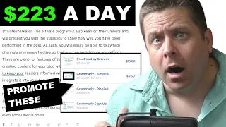 $2,723 A Day Finding Grammar Mistakes Online?