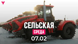 Сельская среда 07.02.2024