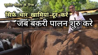 जब गोट फार्मिंग शुरू करें तो 4 खामियां दूर करें | sukant chawla ke goat farming tips | pkraj vlogs