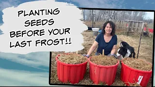 Seeds You Can Direct Sow Before Last Frost - Cold Climate Gardening - Growing Zone 3
