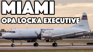 Miami's EXECUTIVE Plane Spotting: Classic + Private Aircraft at Opa Locka (OPF / KOPF)