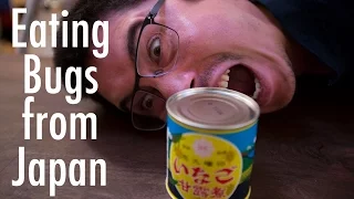 Eating Bugs from Japan - TOFUGU EATS