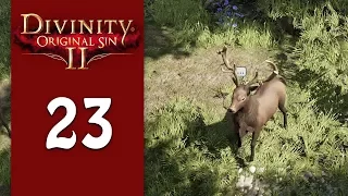 Oh, DEER LORD! || Divinity: Original Sin 2 Let's Play - Part 23