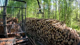 John Deere 1010G Forwarder - Unloading pine pulpwood