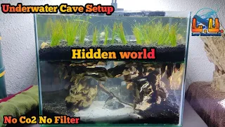 How to set up Underwater Cave scape (hidden world) | Lowtech set up #lowunderworldsetup