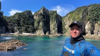 Spearfishing EPIC Aldermen Islands NZ | BIG KINGI