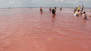 Уникальное розовое озеро в Алтайском крае - там по воде ходит поезд и невозможно утонуть