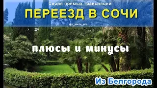 Переезд в Сочи. Плюсы и Минусы жизни в Сочи.