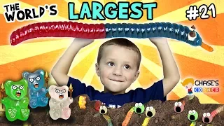 Chase's Corner: World's Largest Gummy Worm (#21) | DOH MUCH FUN