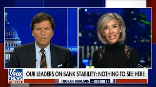 Stephanie Pomboy on Tucker Carlson Tonight | Fox News 3/24/23