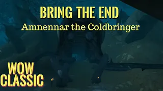 WoW Classic/Warrior leveling Guide----Bring the End/Amnennar the Coldbringer