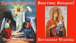 Молитва Божией матери. Вторник Светлой Седмицы