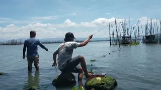 TRADITIONAL FISHING | EFFECTIVE SET UP LUMOT PAIN