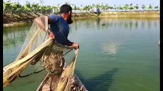 Throw Net Fishing on Boat | Unbelievable net fishing | fishing with cast net (Part-05)