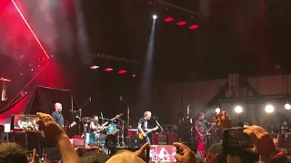 Nirvana Reunion 2018 In Bloom