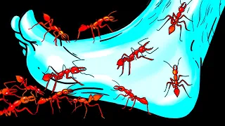 Diese 14 gefährlichen Insekten krabbeln dir um die Füße