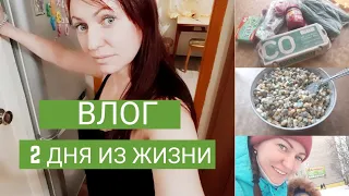 Запоздалый влог/Будни мамы/Жизнь как она есть