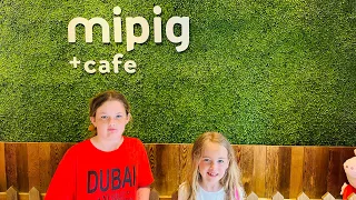 Mipig Cafe Tokyo. Visiting a Cafe With Pigs in Japan 🇯🇵