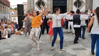 Cana Verde "Geral" Senhora da Porta | Arcos