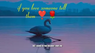 if you love someone tell them/i love  you(free audio @calamythies2045@positivity181