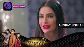 Ishq Ki Dastaan Naagmani | 11 June  2023 Sunday Special इश्क़ की दास्तान नागमणि | Dangal TV