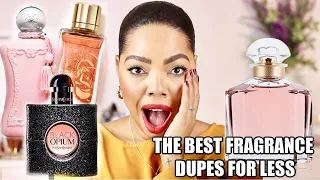 TOP AFFORDABLE PERFUMES YOU NEED  | karina Waldron