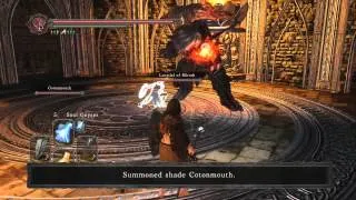 Dark Souls 2 | Master of Sorceries PvE Build