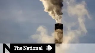 Carbon tax fact check: separating truth from fiction in national debate