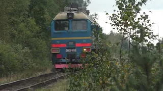 One day at railway Pskov - Luga. 2TE25KM locomotives, the ride on DT1, track repair, Lastochka