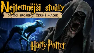 ❖ Nejtemnější stvůry! 💀 | Voldemortovi divocí spojenci! | Harry Potter