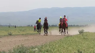 Тай чабыш 21.05.2022 Ст ивановка