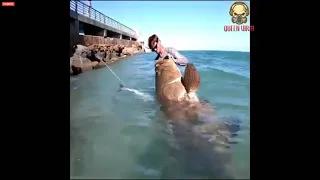 THE BIGGEST FISH 🔴 GROUPER 💥 CAUGHT FROM LAND