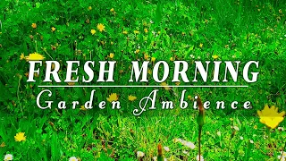 Healing Nature Meditation 🌳 GARDEN AMBIENCE 🌿 Relaxing Spring Sounds on a Lovely Sunny Morning #3