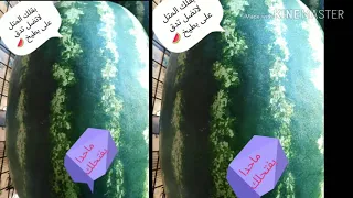 حالات واتساب  سدو عليا الباب يايمه