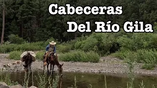 Viaje En Soledad Por La Naturaleza: Aquí COMIENZA