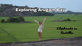 Exploring Arugam Bay + mini safari trip (ELEPHANTS)