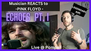 Musician REACTS to PINK FLOYD - Echoes pt. I (live @ Pompeii)