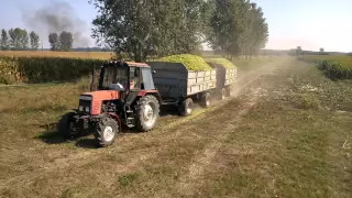 Mtz 820 Silózás Húz a gép!!