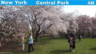 【4K】Manhattan | New York | 2021 | Central Park Weekly Walk # 15