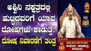 Ashwini Nakshatra Characteristics, Dosha and Remedies | Nakshatra Nadi by Dr. Dinesh | 07-01-2019