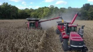 Macdon and Case IH Problems While cutting soybeans and picking corn in Southeast Illinois S4 E33