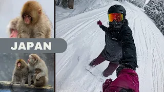 Snowboarding and Snow Monkeys in Japan! | Myoko and Nagano