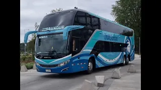 Movimiento de buses interurbanos Puerto Montt - Especial 3