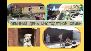 Из Германии в Россию✈построили огородик🍅🍆🥒собакин домик🐶