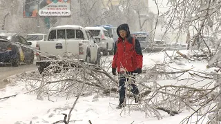 Владивосток погрузился в мир ледяного постапокалипсиса