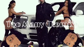 Chris Poetic | Tyga - Too Many (Audio)